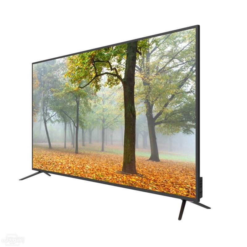 Had1dbaf627424f99b2d216f496e8f8239