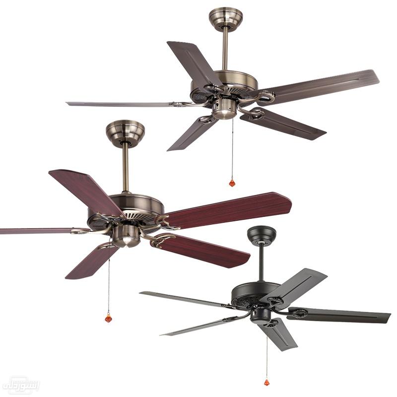 U2e8176c06f9145baa9fde4750fa71df6b