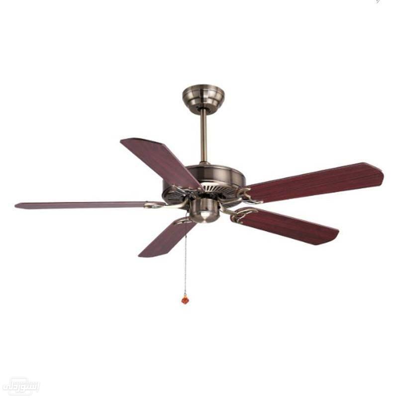 Ueae8695125d84ee29b1e6d871a6523e72