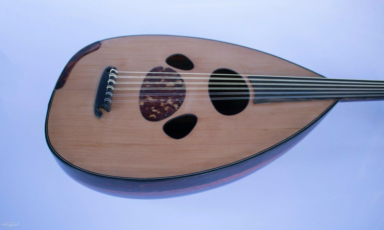 U88d4c440e23d4365a31d81dcdefdfb9bt