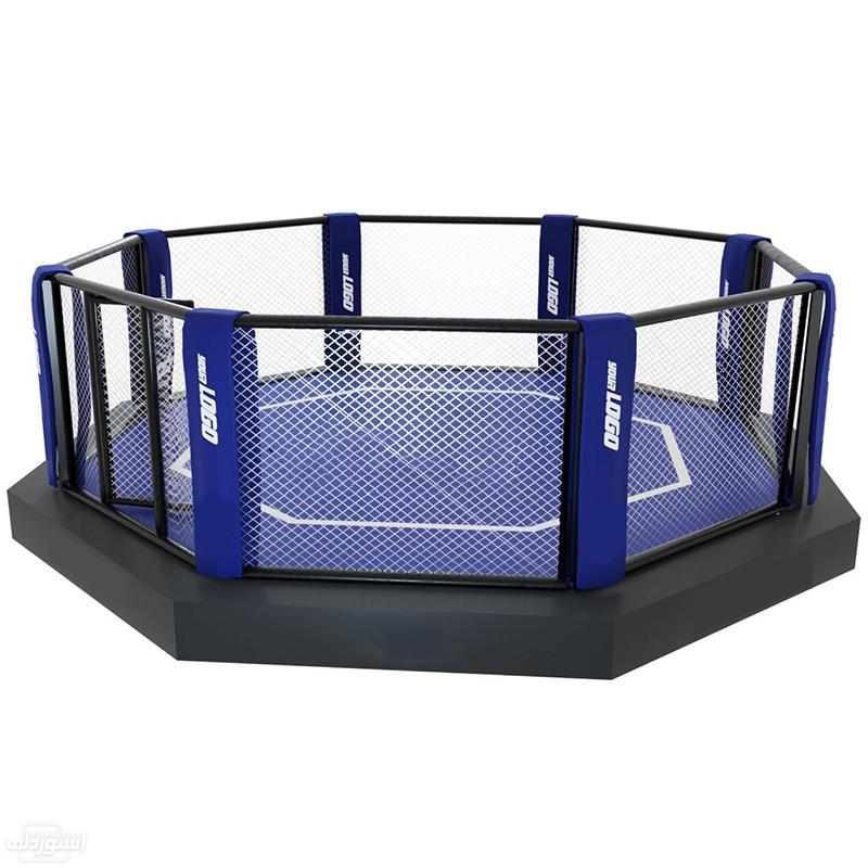 custom-design-mma-cage-panel-ufc-octagon_main-2