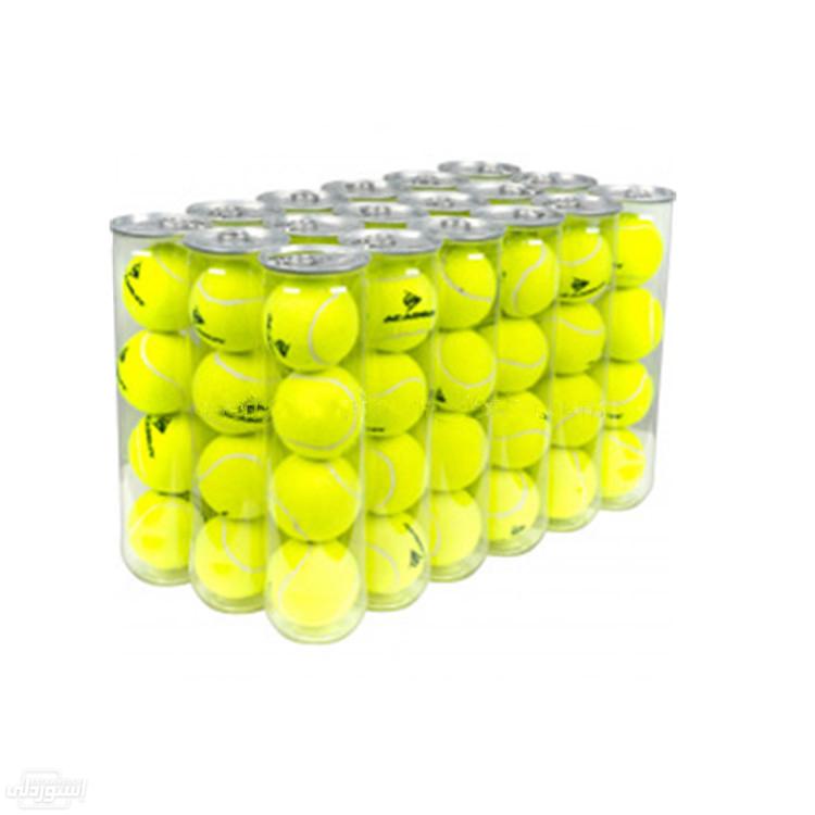 H1d72e1bf739a4bf6864d2c26894943f7S