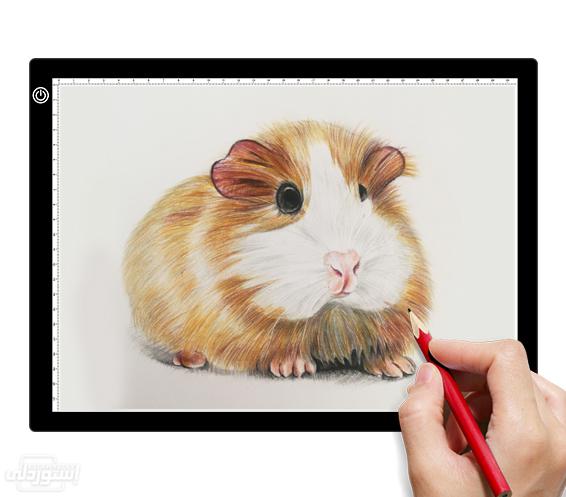 H3ec7c6aa6a504be6adcfa1ff84c08351E