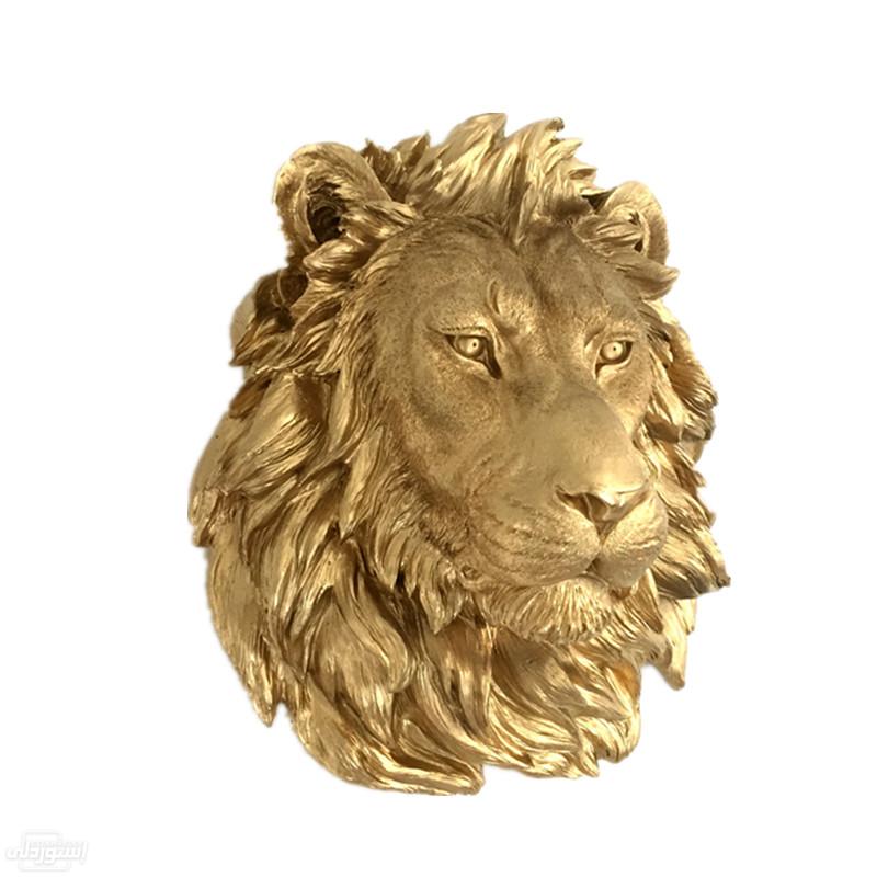 H5c476a8a81d14ed1a752bf0fd243954aE