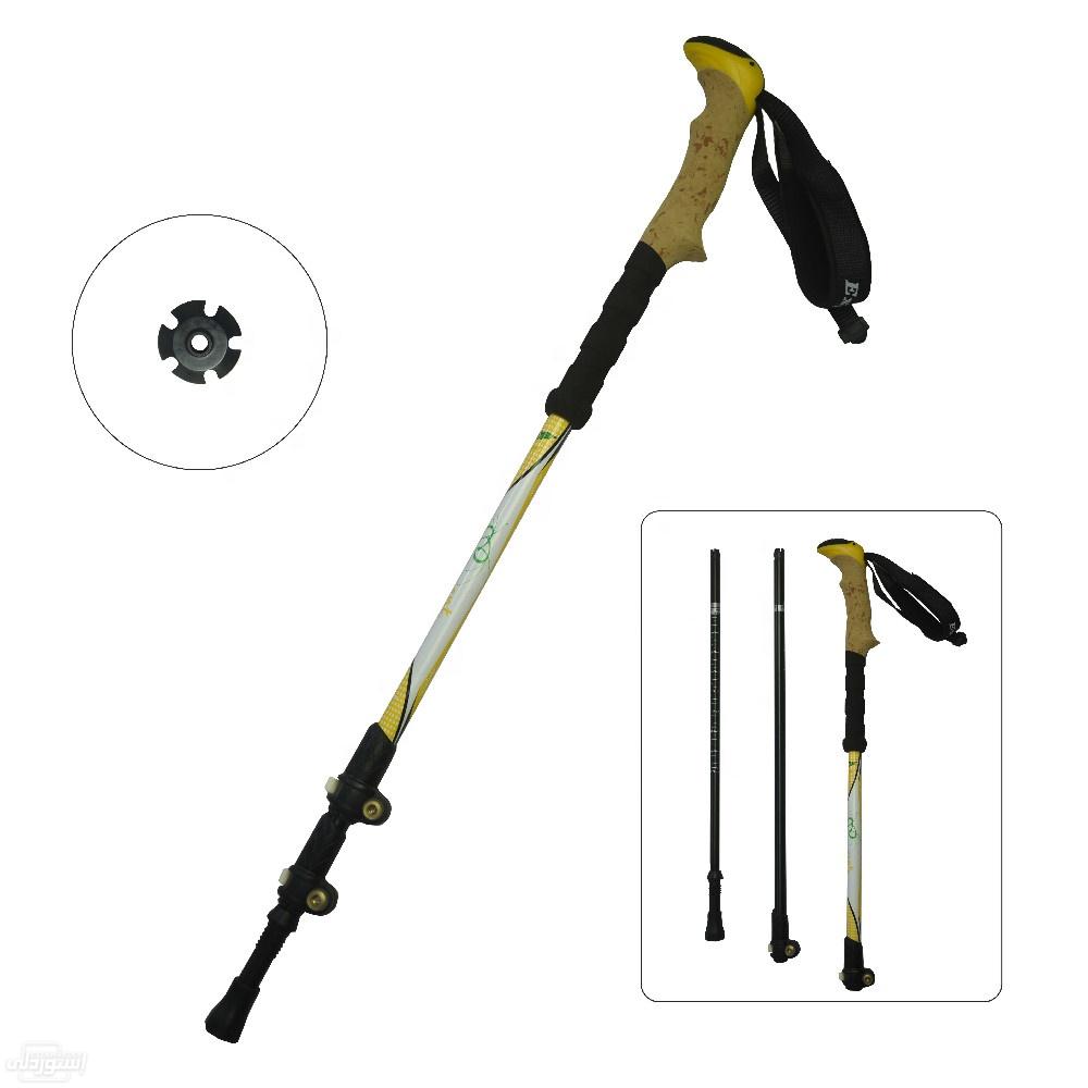 H5c733d4600ed45ec8020e7fde1db9cfbv