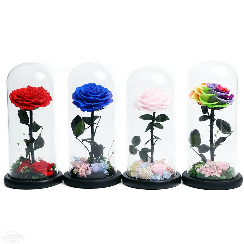 H5ed8f32a38eb4243b3b945ed2f2d1c700