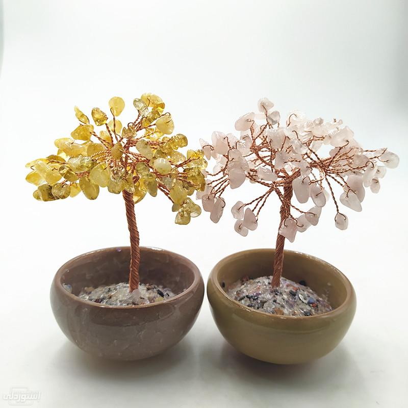 H9af2ea88c1574d9388158e8e8a2f951fP