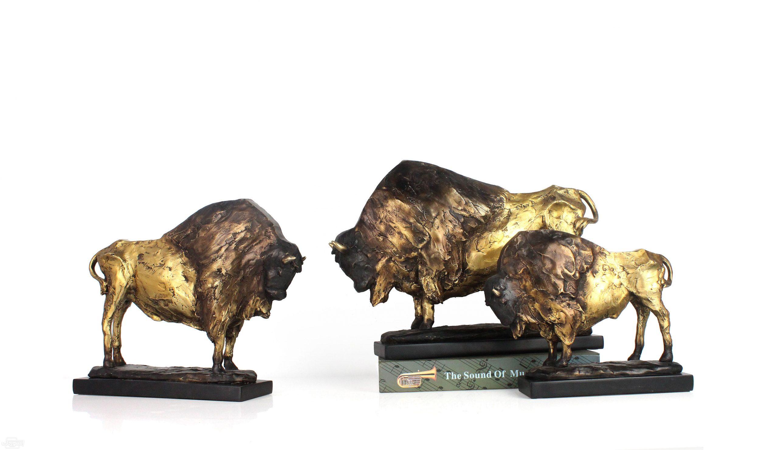 HLB1.2_.QQPoK1RjSZKbq6x1IXXak (1)