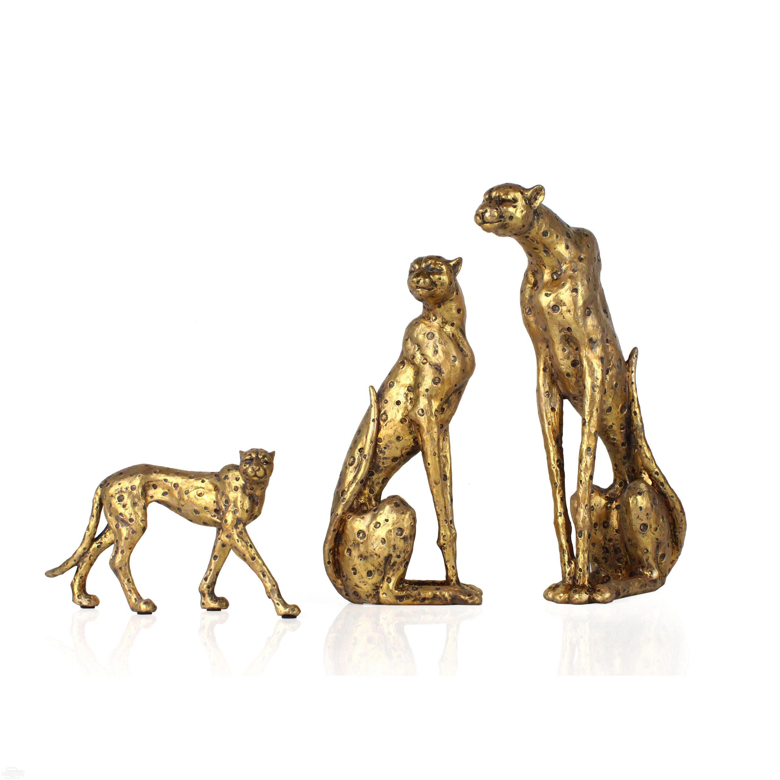 HLB1jUv8QPTpK1RjSZKPq6y3UpXaW