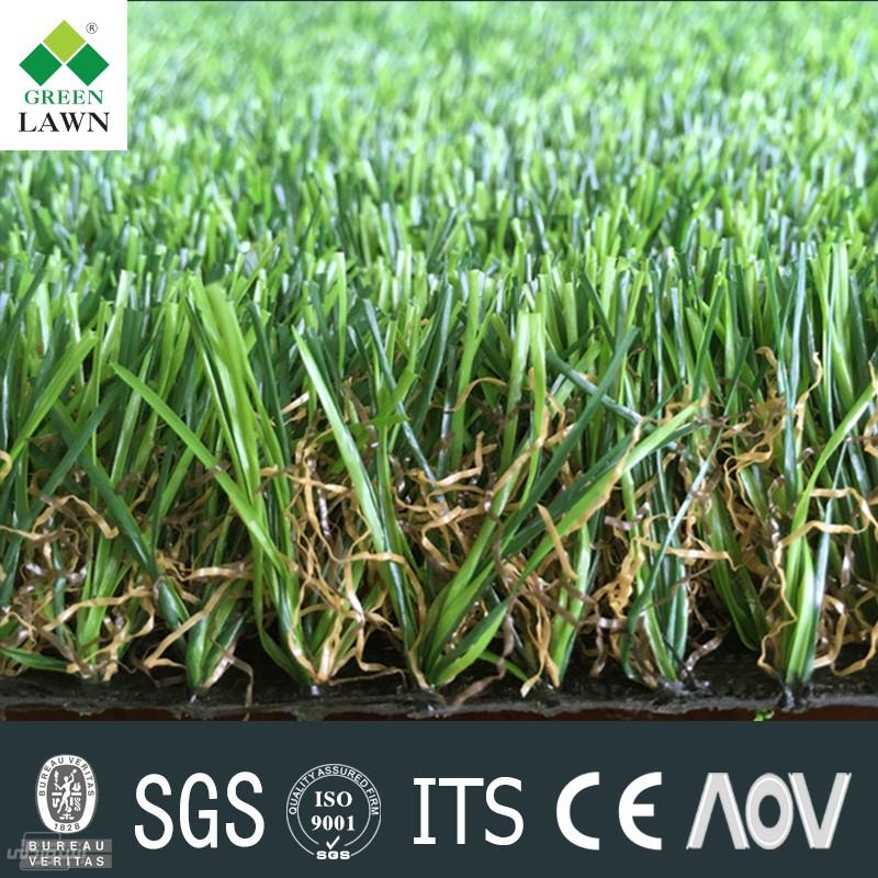 HTB17Wj1MVXXXXaqXXXXq6xXFXXXY