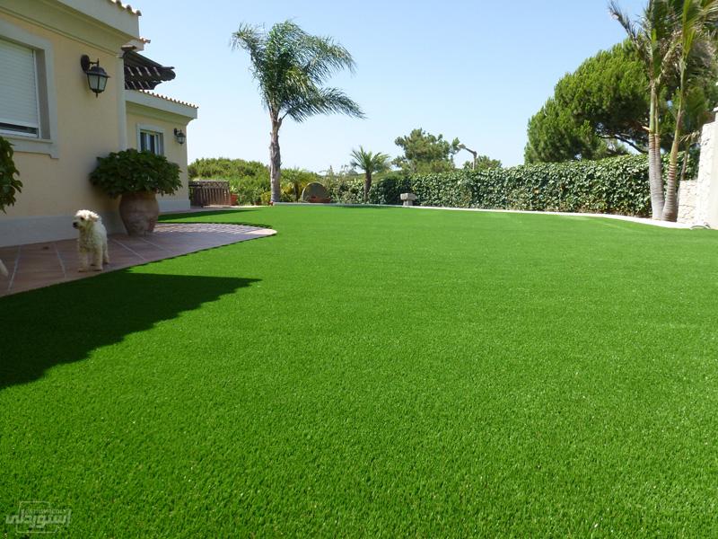 HTB1MoOvX6nuK1RkSmFPq6AuzFXaC