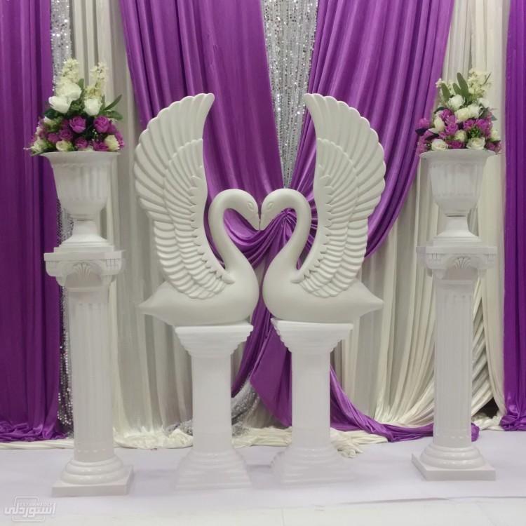 HTB1P8zhkaSWBuNjSsrbq6y0mVXah