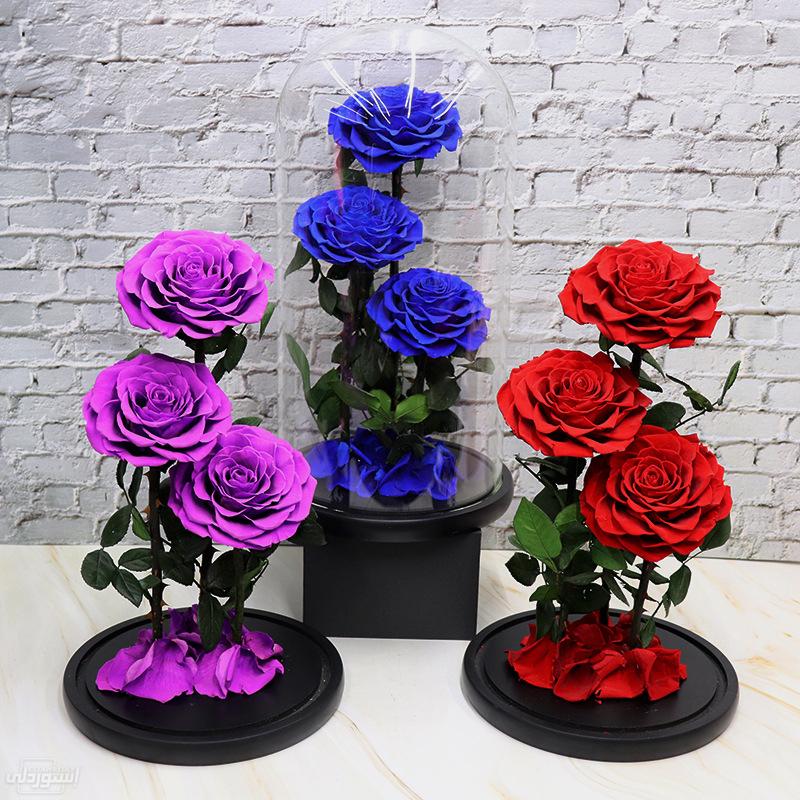 Hb55cb69aca6a4280bbf998d5847f505bG