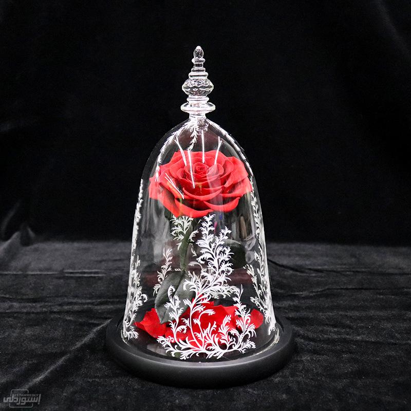 Hc0419f2fb7904cd7a9a672829dfa999do