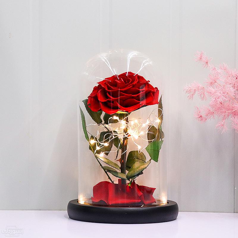 Hf1a5e0544db049fbb44fd8b6769dd5afq