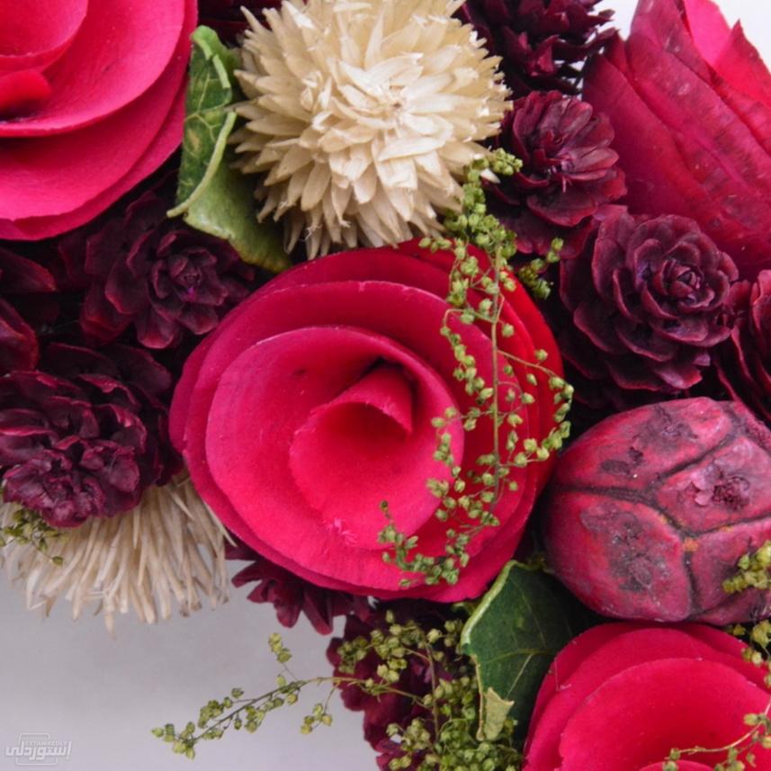 Hfedd4eb1584249dda8a54008b911e480f