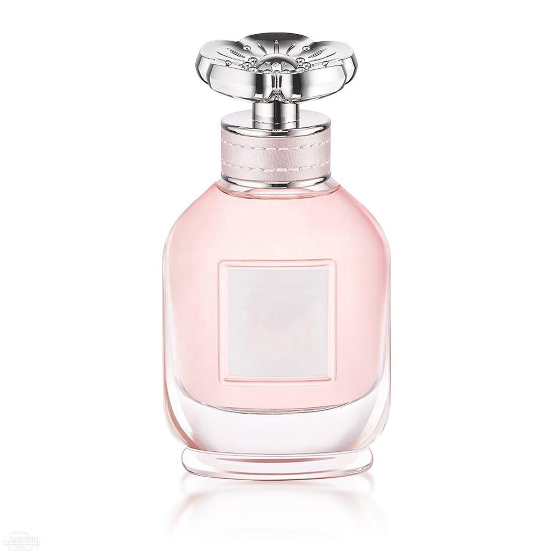 50-250-ml-oem-luxury-parfum-de-marque-bra_main-4