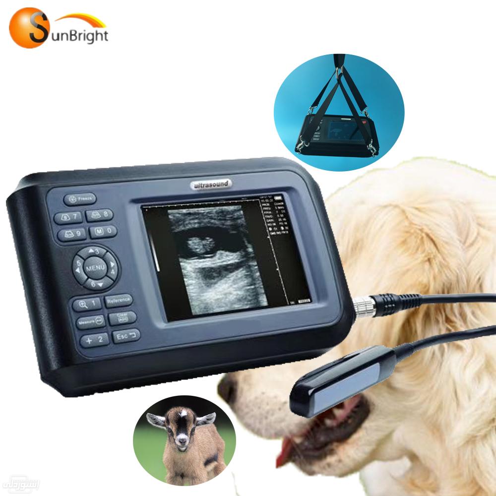 HTB1PeXMWgHqK1RjSZFEq6AGMXXax