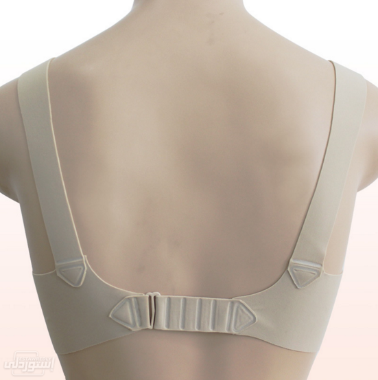 HTB1rgWpXcfrK1Rjy0Fm760hEXXa7