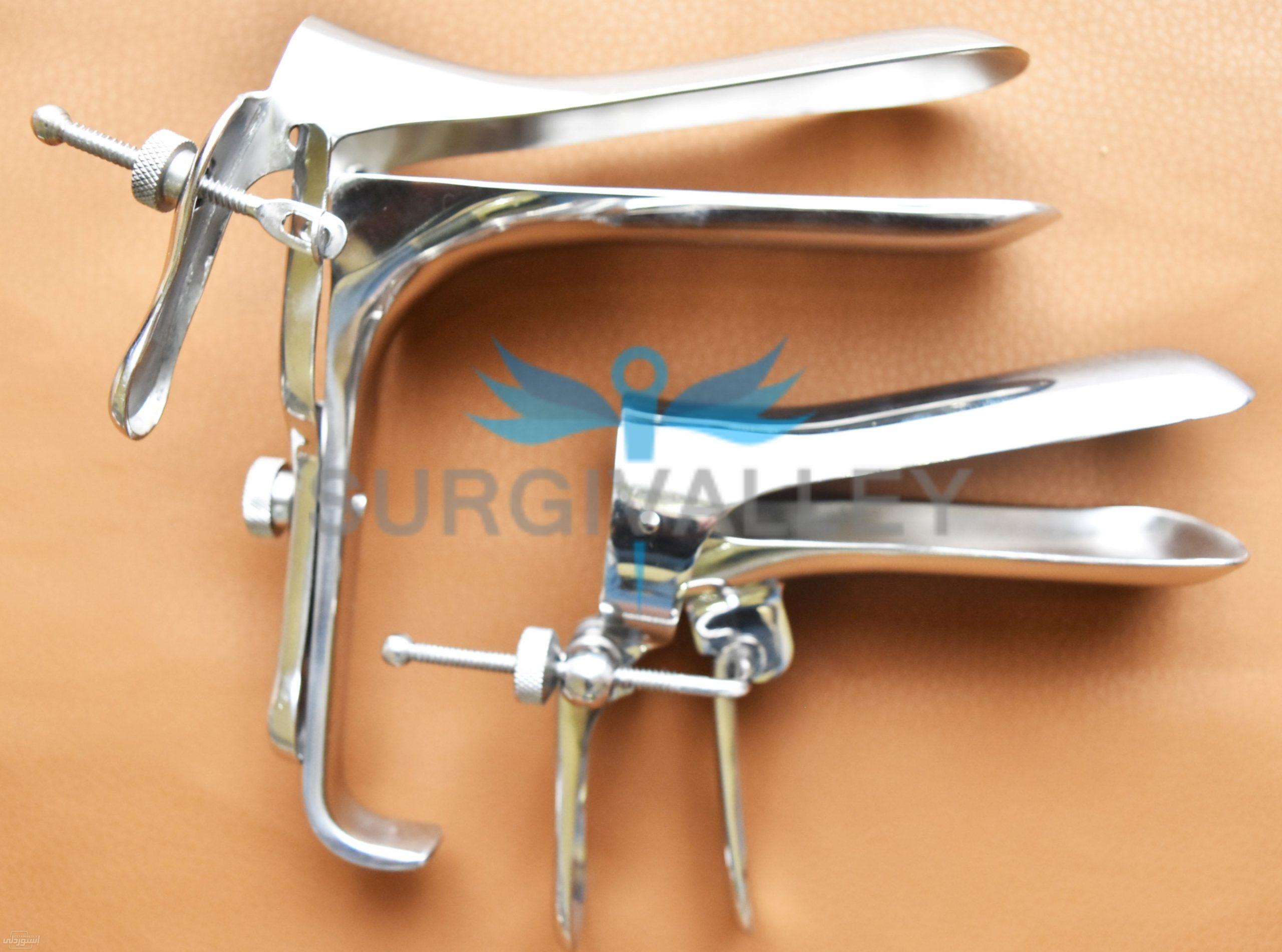 UTB8th9dDOaMiuJk43PTq6ySmXXaM