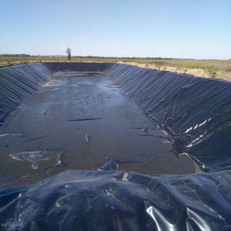 H7953ec6b01024534b3000207a4c3c3716