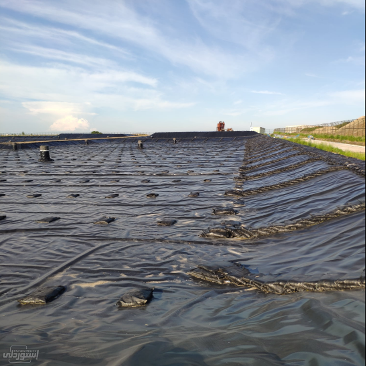 H7f6e25a75cf447e6bf8ef98ffb713f63I