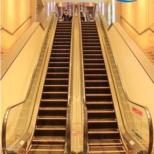 HTB1pRJkE79WBuNjSspeq6yz5VXaT