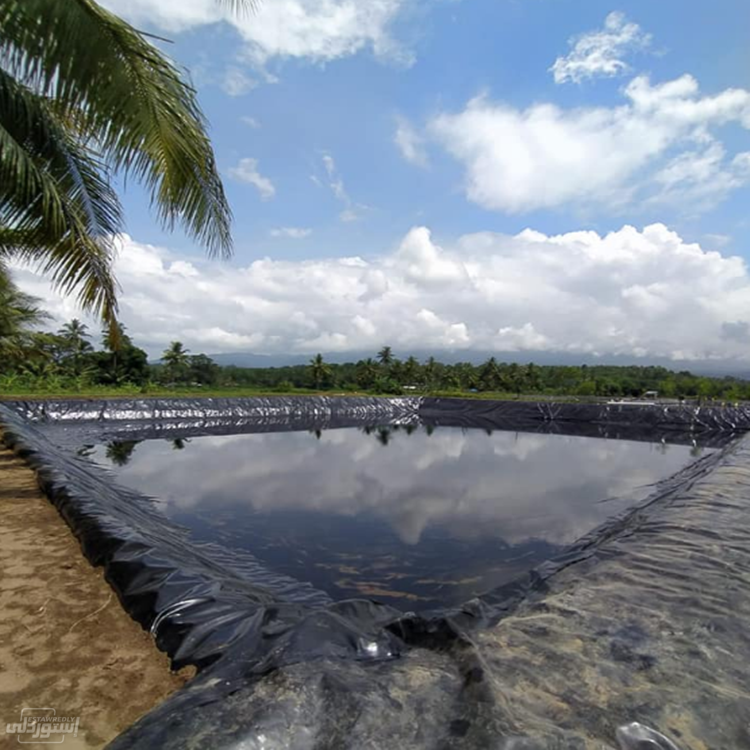 Hb69790e892564e4e9b280502f36a302ah