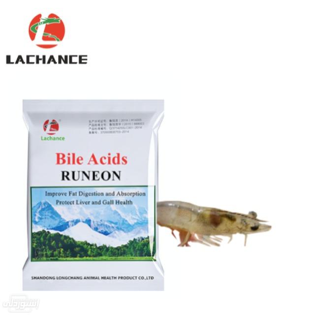 feed-bile-acids-additives-runeon-for-shr_main-1