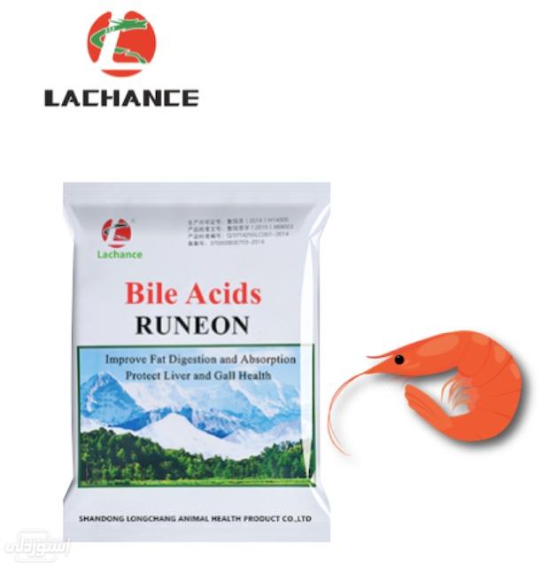 feed-bile-acids-additives-runeon-for-shr_main-5