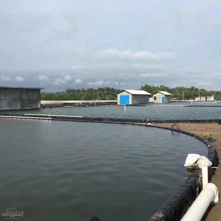 fish-farm-hdpe-pvc-geomembrane-circular_main-5