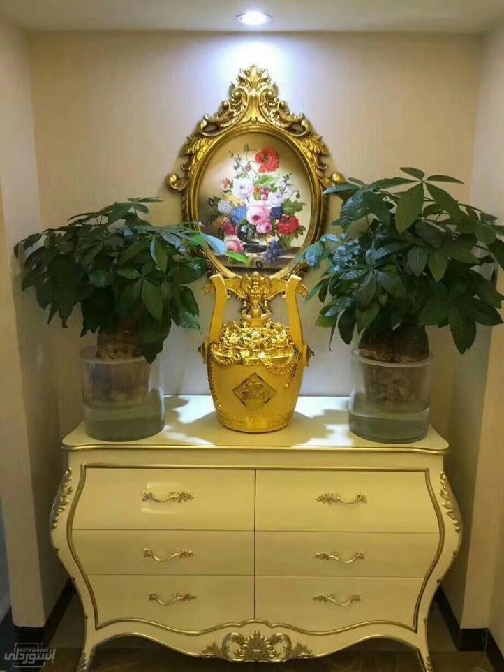 HTB1iTn2XStYBeNjSspkq6zU8VXar (2)